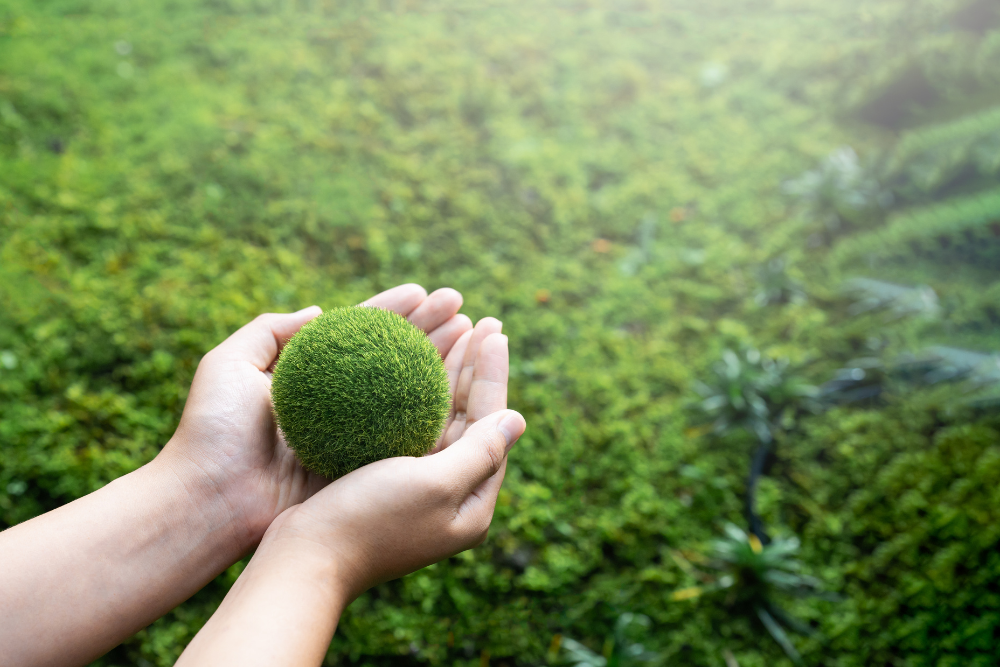 Hands holding a green globe against a grassy green background